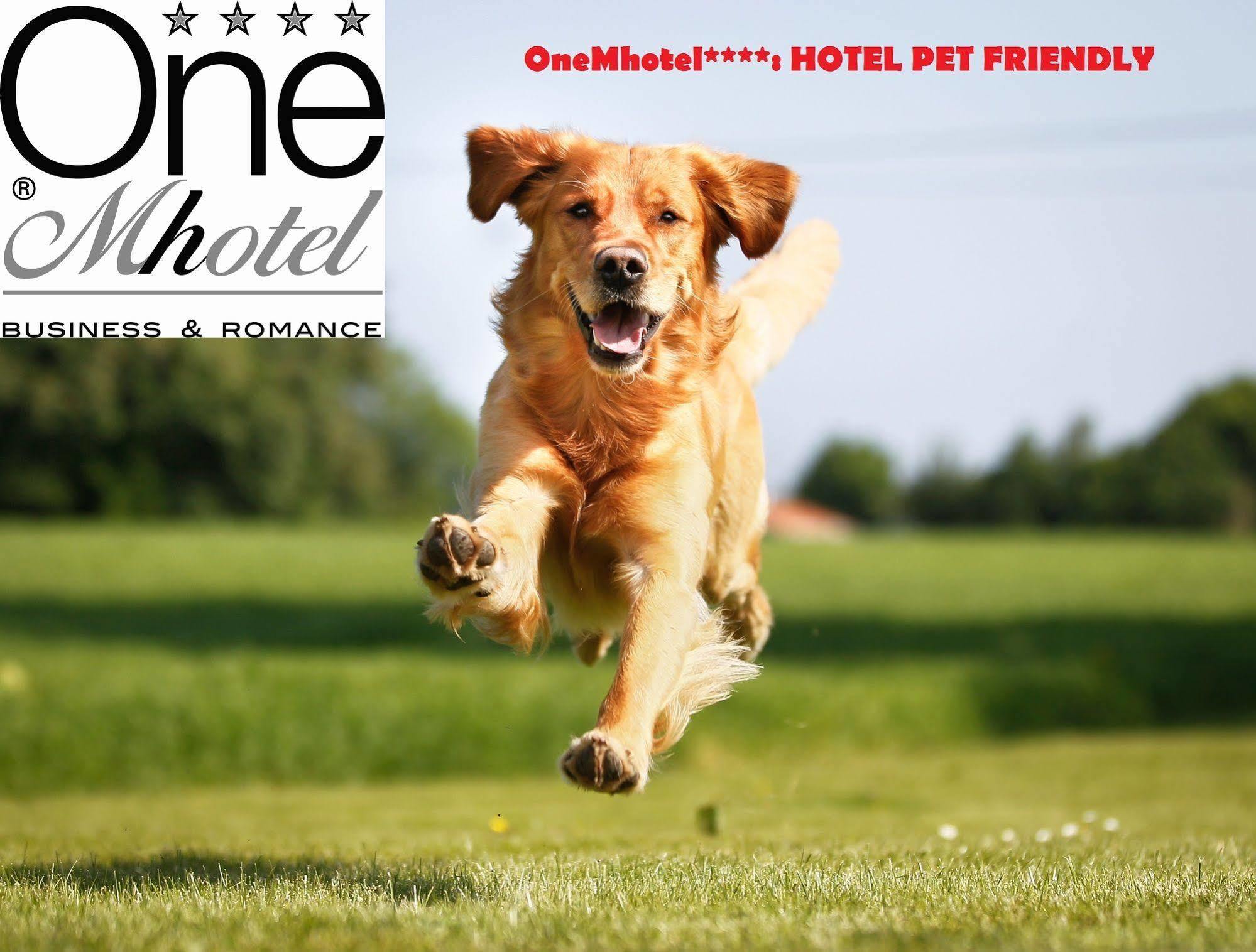 Onemhotel San Paolo  Kültér fotó